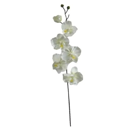 ΚΛΑΔΙ ΟΡΧΙΔΕΑ ΣΑΜΠΑΝΙ Y72cm. 36/432ΚΙΒ ΚΛΑΔΙ ΟΡΧΙΔΕΑ ΣΑΜΠΑΝΙ Y72cm. 36/432ΚΙΒ
