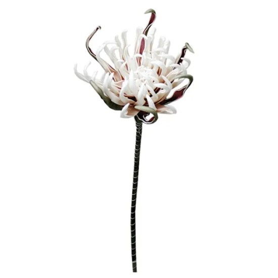 FOAM ΣΟΜΟΝ ΑΓΚΙΝΑΡΑ Y82cm. 12/120ΚΙΒ FOAM ΣΟΜΟΝ ΑΓΚΙΝΑΡΑ Y82cm. 12/120ΚΙΒ
