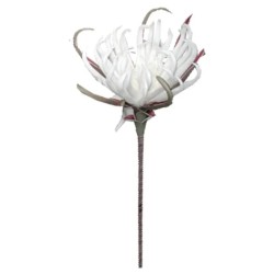 FOAM ΛΕΥΚΟ ΑΓΚΙΝΑΡΑ Y82cm. 12/120ΚΙΒ FOAM ΛΕΥΚΟ ΑΓΚΙΝΑΡΑ Y82cm. 12/120ΚΙΒ