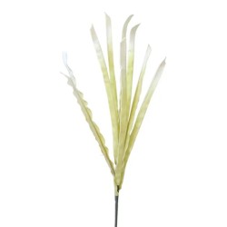 FOAM ΕΚΡΟΥ ΦΥΛΛΩΜΑ Υ113cm. 12/120ΚΙΒ FOAM ΕΚΡΟΥ ΦΥΛΛΩΜΑ Υ113cm. 12/120ΚΙΒ