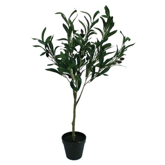 ΔΕΝΤΡΟ ΕΛΙΑΣ ΣΕ ΓΛΑΣΤΡΑ - Y65cm 6/72ΚΙΒ ΔΕΝΤΡΟ ΕΛΙΑΣ ΣΕ ΓΛΑΣΤΡΑ - Y65cm 6/72ΚΙΒ