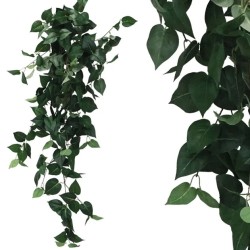 ΡΙΖΑ ΚΡΕΜΑΣΤΗ ΠΟΘΟΣ ΠΡΑΣΙΝΟΣ Y100cm 1/50KIB ΡΙΖΑ ΚΡΕΜΑΣΤΗ ΠΟΘΟΣ ΠΡΑΣΙΝΟΣ Y100cm 1/50KIB