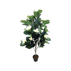 ΔΕΝΤΡΟ MANΩΛΙΑ ΕΚΡΟΥ ΑΝΘΗ ΣΕ ΓΛΑΣΤΡΑ - Y140cm 1/2KIB