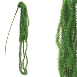 ΡΙΖΑ ΚΡΕΜΑΣΤΗ ΠΡΑΣΙΝΟ ΑΡΩΚΑΡΙΑ Υ94-152cm 36/108ΚΙΒ ΡΙΖΑ ΚΡΕΜΑΣΤΗ ΠΡΑΣΙΝΟ ΑΡΩΚΑΡΙΑ Υ94-152cm 36/108ΚΙΒ