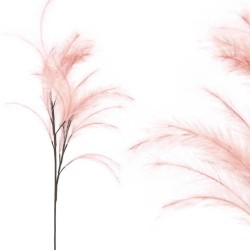 FOAM ΡΟΖ ΠΟΥΠΟΥΛΑ - Y113/60cm 12/120KIB FOAM ΡΟΖ ΠΟΥΠΟΥΛΑ - Y113/60cm 12/120KIB