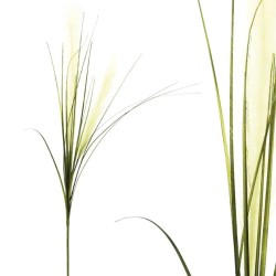 FOAM ΦΥΣΙΚΟ ΒΟΥΡΛΟ Υ94/53cm 24/240KIB FOAM ΦΥΣΙΚΟ ΒΟΥΡΛΟ Υ94/53cm 24/240KIB