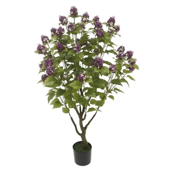 ΔΕΝΤΡΟ ΠΑΣΧΑΛΙΑ ΣΕ ΓΛΑΣΤΡΑ - Y138cm 2/ΚΙΒ ΔΕΝΤΡΟ ΠΑΣΧΑΛΙΑ ΣΕ ΓΛΑΣΤΡΑ - Y138cm 2/ΚΙΒ