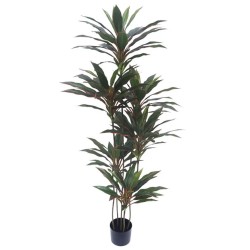 ΔΕΝΤΡΟ ΔΡΑΚΑΙΝΑ ΚΟΚΚΙΝΗ REAL TOUCH ΣΕ ΓΛΑΣΤΡΑ - Υ150cm 4/ΚΙΒ ΔΕΝΤΡΟ ΔΡΑΚΑΙΝΑ ΚΟΚΚΙΝΗ REAL TOUCH ΣΕ ΓΛΑΣΤΡΑ - Υ150cm 4/ΚΙΒ
