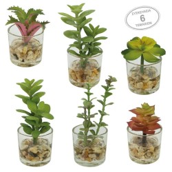 MINI ΚΑΚΤΑΚΙΑ MIX ΣΕ ΓΥΑΛΙΝΟ ΚΑΣΠΩ ΣΕΤ/6 - 5x12cm 6/16ΚΙΒ MINI ΚΑΚΤΑΚΙΑ MIX ΣΕ ΓΥΑΛΙΝΟ ΚΑΣΠΩ ΣΕΤ/6 - 5x12cm 6/16ΚΙΒ