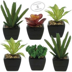 ΚΑΚΤΑΚΙΑ SET/6 ΣΕ ΚΕΡΑΜΙΚΟ ΜΑΥΡΟ ΓΛΑΣΤΡΑΚΙ 6x6x15cm 6/KIB ΚΑΚΤΑΚΙΑ SET/6 ΣΕ ΚΕΡΑΜΙΚΟ ΜΑΥΡΟ ΓΛΑΣΤΡΑΚΙ 6x6x15cm 6/KIB