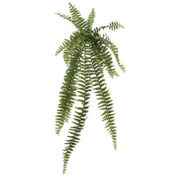 ΡΙΖΑ ΚΡΕΜΑΣΤΗ ΦΤΕΡΗ 90Υx26.5cm 24/192KIB ΡΙΖΑ ΚΡΕΜΑΣΤΗ ΦΤΕΡΗ 90Υx26.5cm 24/192KIB