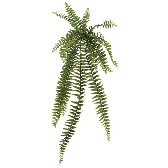 ΡΙΖΑ ΚΡΕΜΑΣΤΗ ΦΤΕΡΗ 90Υx26.5cm 24/192KIB ΡΙΖΑ ΚΡΕΜΑΣΤΗ ΦΤΕΡΗ 90Υx26.5cm 24/192KIB