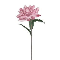 FOAM ΣΑΠΙΟ ΜΗΛΟ ΤΡΙΑΝΤΑΦΥΛΛΟ 11x26(x70)cm 12/48KIB FOAM ΣΑΠΙΟ ΜΗΛΟ ΤΡΙΑΝΤΑΦΥΛΛΟ 11x26(x70)cm 12/48KIB