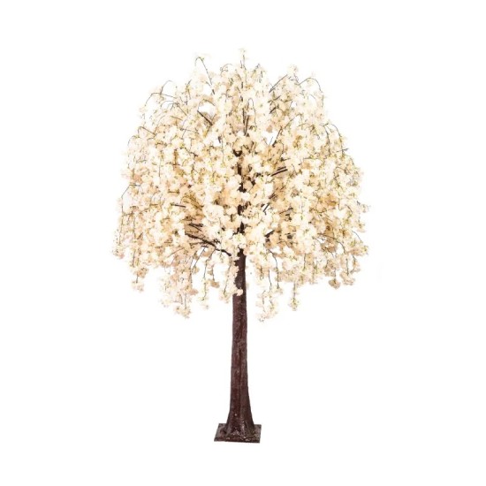 ΔΕΝΤΡΟ ΕΚΡΟΥ ΚΕΡΑΣΙΑ ΜΕ ΚΡΕΜΑΣΤΑ ΑΝΘΗ Υ280cm 1/ΚΙΒ ΔΕΝΤΡΟ ΕΚΡΟΥ ΚΕΡΑΣΙΑ ΜΕ ΚΡΕΜΑΣΤΑ ΑΝΘΗ Υ280cm 1/ΚΙΒ