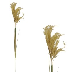 ΚΛΑΔΙ ΠΑΜΠΑΣ ΚΟΝΤΟ ΚΑΦΕ - Y110cm 125/500KIB ΚΛΑΔΙ ΠΑΜΠΑΣ ΚΟΝΤΟ ΚΑΦΕ - Y110cm 125/500KIB