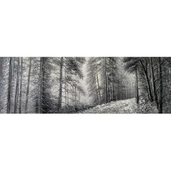ΠΙΝΑΚΑΣ ΚΑΜΒΑΣ ΜΟΝΟΠΑΤΙ ΣΤΟ ΓΚΡΙ ΔΑΣΟΣ - 150x50cm 8/KIB ΠΙΝΑΚΑΣ ΚΑΜΒΑΣ ΜΟΝΟΠΑΤΙ ΣΤΟ ΓΚΡΙ ΔΑΣΟΣ - 150x50cm 8/KIB