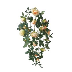 ΡΙΖΑ ΚΡΕΜΑΣΤΗ ΤΡΙΑΝΤΑΦΥΛΛΙΑ ΣΟΜΟΝ - Υ70cm 36/180ΚΙΒ ΡΙΖΑ ΚΡΕΜΑΣΤΗ ΤΡΙΑΝΤΑΦΥΛΛΙΑ ΣΟΜΟΝ - Υ70cm 36/180ΚΙΒ
