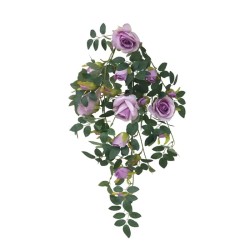ΡΙΖΑ ΚΡΕΜΑΣΤΗ ΤΡΙΑΝΤΑΦΥΛΛΙΑ ΛΙΛΑ - Υ70cm 36/180ΚΙΒ ΡΙΖΑ ΚΡΕΜΑΣΤΗ ΤΡΙΑΝΤΑΦΥΛΛΙΑ ΛΙΛΑ - Υ70cm 36/180ΚΙΒ