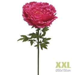 ΚΛΑΔΙ ΠΑΙΩΝΙΑ ΦΟΥΞ ΓΙΓΑΣ XXL - Φ50x150cm 8/KIB ΚΛΑΔΙ ΠΑΙΩΝΙΑ ΦΟΥΞ ΓΙΓΑΣ XXL - Φ50x150cm 8/KIB