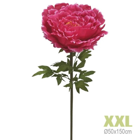 ΚΛΑΔΙ ΠΑΙΩΝΙΑ ΦΟΥΞ ΓΙΓΑΣ XXL - Φ50x150cm 8/KIB ΚΛΑΔΙ ΠΑΙΩΝΙΑ ΦΟΥΞ ΓΙΓΑΣ XXL - Φ50x150cm 8/KIB