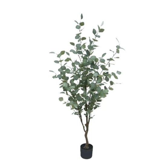 ΔΕΝΤΡΟ ΕΥΚΑΛΥΠΤΟΣ ΠΡΑΣΙΝΟ ΣΕ ΚΑΣΠΩ - Y150cm 1/4ΚIB ΔΕΝΤΡΟ ΕΥΚΑΛΥΠΤΟΣ ΠΡΑΣΙΝΟ ΣΕ ΚΑΣΠΩ - Y150cm 1/4ΚIB