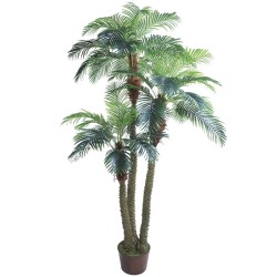 ΔΕΝΤΡΟ ΦΟΙΝΙΚΑΣ ΑΡΕΚΑ X3 REAL TOUCH ΣΕ ΚΑΣΠΩ - Υ300cm 1/1ΚΙΒ ΔΕΝΤΡΟ ΦΟΙΝΙΚΑΣ ΑΡΕΚΑ X3 REAL TOUCH ΣΕ ΚΑΣΠΩ - Υ300cm 1/1ΚΙΒ