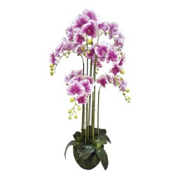 ΦΥΤΟ ΟΡΧΙΔΕΑ ΔΙΧΡΩΜΗ ΜΩΒ/ΛΕΥΚΑ ΑΝΘΗ REAL TOUCH - Υ118cm 1/ΚΙΒ ΦΥΤΟ ΟΡΧΙΔΕΑ ΔΙΧΡΩΜΗ ΜΩΒ/ΛΕΥΚΑ ΑΝΘΗ REAL TOUCH - Υ118cm 1/ΚΙΒ