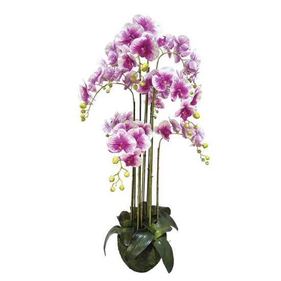 ΦΥΤΟ ΟΡΧΙΔΕΑ ΔΙΧΡΩΜΗ ΜΩΒ/ΛΕΥΚΑ ΑΝΘΗ REAL TOUCH - Υ118cm 1/ΚΙΒ ΦΥΤΟ ΟΡΧΙΔΕΑ ΔΙΧΡΩΜΗ ΜΩΒ/ΛΕΥΚΑ ΑΝΘΗ REAL TOUCH - Υ118cm 1/ΚΙΒ