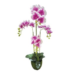 ΦΥΤΟ ΟΡΧΙΔΕΑ ΔΙΧΡΩΜΗ ΜΩΒ/ΛΕΥΚΑ ΑΝΘΗ REAL TOUCH - Υ98cm 2/ΚΙΒ ΦΥΤΟ ΟΡΧΙΔΕΑ ΔΙΧΡΩΜΗ ΜΩΒ/ΛΕΥΚΑ ΑΝΘΗ REAL TOUCH - Υ98cm 2/ΚΙΒ