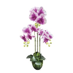 ΦΥΤΟ ΟΡΧΙΔΕΑ ΔΙΧΡΩΜΗ ΜΩΒ/ΛΕΥΚΟ ΑΝΘΗ REAL TOUCH - Υ82cm 2/8ΚΙΒ ΦΥΤΟ ΟΡΧΙΔΕΑ ΔΙΧΡΩΜΗ ΜΩΒ/ΛΕΥΚΟ ΑΝΘΗ REAL TOUCH - Υ82cm 2/8ΚΙΒ