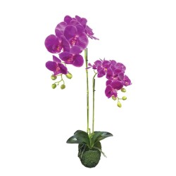 ΦΥΤΟ ΟΡΧΙΔΕΑ ΜΩΒ ΑΝΘΗ REAL TOUCH - Υ68cm 4/24ΚΙΒ ΦΥΤΟ ΟΡΧΙΔΕΑ ΜΩΒ ΑΝΘΗ REAL TOUCH - Υ68cm 4/24ΚΙΒ