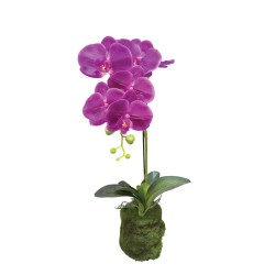 ΦΥΤΟ ΟΡΧΙΔΕΑ ΜΩΒ ΑΝΘΗ REAL TOUCH - Υ59cm 4/24ΚΙΒ ΦΥΤΟ ΟΡΧΙΔΕΑ ΜΩΒ ΑΝΘΗ REAL TOUCH - Υ59cm 4/24ΚΙΒ