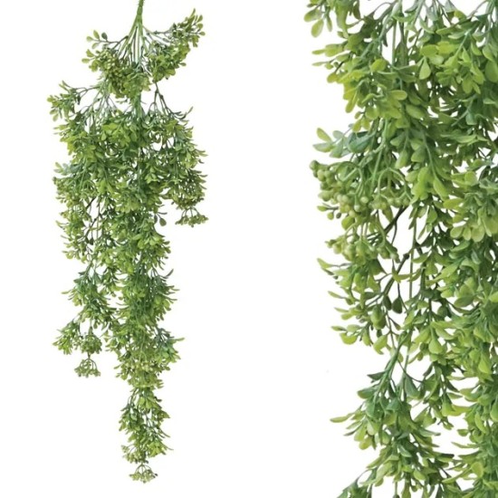 ΡΙΖΑ ΚΡΕΜΑΣΤΗ ΠΡΑΣΙΝΟ ΦΥΛΛΑΡΑΚΙ 40x75cm 48/96KIB ΡΙΖΑ ΚΡΕΜΑΣΤΗ ΠΡΑΣΙΝΟ ΦΥΛΛΑΡΑΚΙ 40x75cm 48/96KIB
