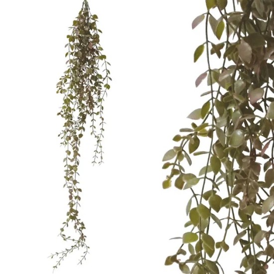 ΡΙΖΑ ΚΡΕΜΑΣΤΗ ΠΡΑΣΙΝΟ ΓΚΡΑΣ ΔΙΧΡΩΜΟ Υ90-102cm 48/144ΚΙΒ ΡΙΖΑ ΚΡΕΜΑΣΤΗ ΠΡΑΣΙΝΟ ΓΚΡΑΣ ΔΙΧΡΩΜΟ Υ90-102cm 48/144ΚΙΒ
