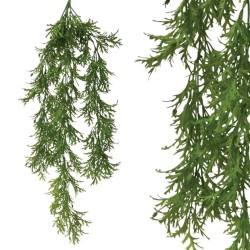 ΡΙΖΑ ΚΡΕΜΑΣΤΗ ΑΓΡΙΟΧΟΡΤΟ ΠΡΑΣΙΝΗ 35x82cm 24/96KIB ΡΙΖΑ ΚΡΕΜΑΣΤΗ ΑΓΡΙΟΧΟΡΤΟ ΠΡΑΣΙΝΗ 35x82cm 24/96KIB