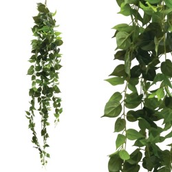 ΡΙΖΑ ΚΡΕΜΑΣΤΗ ΠΟΘΟΣ ΠΡΑΣΙΝΟ - Υ200cm 36/KΙΒ ΡΙΖΑ ΚΡΕΜΑΣΤΗ ΠΟΘΟΣ ΠΡΑΣΙΝΟ - Υ200cm 36/KΙΒ