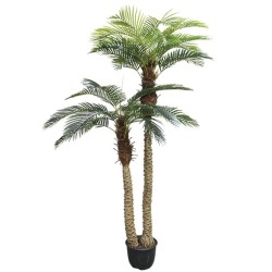 ΔΕΝΤΡΟ ΦΟΙΝΙΚΑΣ ΑΡΕΚΑ x2 REAL TOUCH ΣΕ ΓΛΑΣΤΡΑ - Υ250cm 2/ΚΙΒ ΔΕΝΤΡΟ ΦΟΙΝΙΚΑΣ ΑΡΕΚΑ x2 REAL TOUCH ΣΕ ΓΛΑΣΤΡΑ - Υ250cm 2/ΚΙΒ