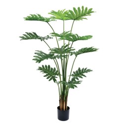 ΔΕΝΤΡΟ ΦΥΛΟΔΕΝΤΡΟΝ ΠΡΑΣΙΝΟ REAL TOUCH ΣΕ ΚΑΣΠΩ - Υ180cm 1/2ΚΙΒ ΔΕΝΤΡΟ ΦΥΛΟΔΕΝΤΡΟΝ ΠΡΑΣΙΝΟ REAL TOUCH ΣΕ ΚΑΣΠΩ - Υ180cm 1/2ΚΙΒ