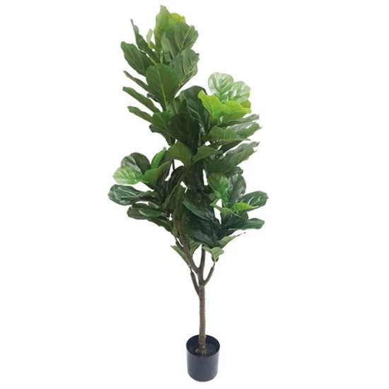 ΔΕΝΤΡΟ ΦΟΙΚΟΣ ΛΥΡΑΤΑ REAL TOUCH ΣΕ ΓΛΑΣΤΡΑ - Υ174cm 4/ΚΙΒ ΔΕΝΤΡΟ ΦΟΙΚΟΣ ΛΥΡΑΤΑ REAL TOUCH ΣΕ ΓΛΑΣΤΡΑ - Υ174cm 4/ΚΙΒ