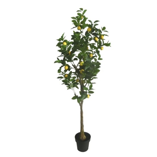 ΔΕΝΤΡΟ ΛΕΜΟΝΙΑ REAL TOUCH ΣΕ ΚΑΣΠΩ - Υ180cm 1/2ΚΙΒ ΔΕΝΤΡΟ ΛΕΜΟΝΙΑ REAL TOUCH ΣΕ ΚΑΣΠΩ - Υ180cm 1/2ΚΙΒ
