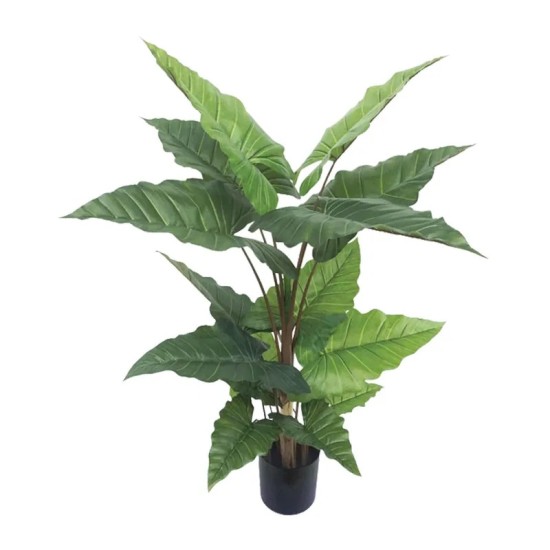 ΔΕΝΤΡΟ ΑΛΟΚΑΣΙΑ ΠΡΑΣΙΝΟ REAL TOUCH ΣΕ ΚΑΣΠΩ - Υ150cm 1/4ΚΙΒ ΔΕΝΤΡΟ ΑΛΟΚΑΣΙΑ ΠΡΑΣΙΝΟ REAL TOUCH ΣΕ ΚΑΣΠΩ - Υ150cm 1/4ΚΙΒ