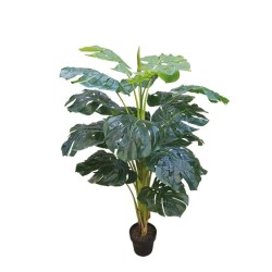 ΔΕΝΤΡΟ ΣΧΙΣΤΟΦΥΛΛΟ REAL TOUCH ΣΕ ΓΛΑΣΤΡΑ - Υ140cm 4/ΚΙΒ ΔΕΝΤΡΟ ΣΧΙΣΤΟΦΥΛΛΟ REAL TOUCH ΣΕ ΓΛΑΣΤΡΑ - Υ140cm 4/ΚΙΒ