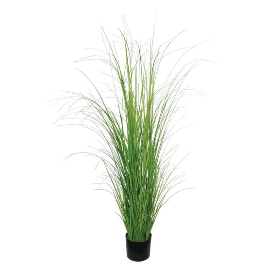 ΘΑΜΝΟΣ ΓΚΡΑΣΣ ΚΡΕΜΜΥΔΙΟΥ ΣΕ ΓΛΑΣΤΡΑ - Υ152cm 2/KΙΒ ΘΑΜΝΟΣ ΓΚΡΑΣΣ ΚΡΕΜΜΥΔΙΟΥ ΣΕ ΓΛΑΣΤΡΑ - Υ152cm 2/KΙΒ