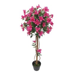ΔΕΝΤΡΟ ΒΟΥΚΑΜΒΙΛΙΑ ΦΟΥΞ ΣΕ ΚΑΣΠΩ - Υ120cm 1/4ΚΙΒ ΔΕΝΤΡΟ ΒΟΥΚΑΜΒΙΛΙΑ ΦΟΥΞ ΣΕ ΚΑΣΠΩ - Υ120cm 1/4ΚΙΒ