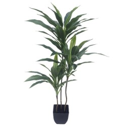 ΔΕΝΤΡΟ ΔΡΑΚΑΙΝΑ ΠΡΑΣΙΝΟ REAL TOUCH ΣΕ ΓΛΑΣΤΡΑ - Υ95cm 6/ΚΙΒ ΔΕΝΤΡΟ ΔΡΑΚΑΙΝΑ ΠΡΑΣΙΝΟ REAL TOUCH ΣΕ ΓΛΑΣΤΡΑ - Υ95cm 6/ΚΙΒ