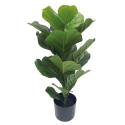 ΔΕΝΤΡΟ ΦΟΙΚΟΣ ΛΥΡΑΤΑ REAL TOUCH ΣΕ ΓΛΑΣΤΡΑ - Υ70cm 4/ΚΙΒ ΔΕΝΤΡΟ ΦΟΙΚΟΣ ΛΥΡΑΤΑ REAL TOUCH ΣΕ ΓΛΑΣΤΡΑ - Υ70cm 4/ΚΙΒ