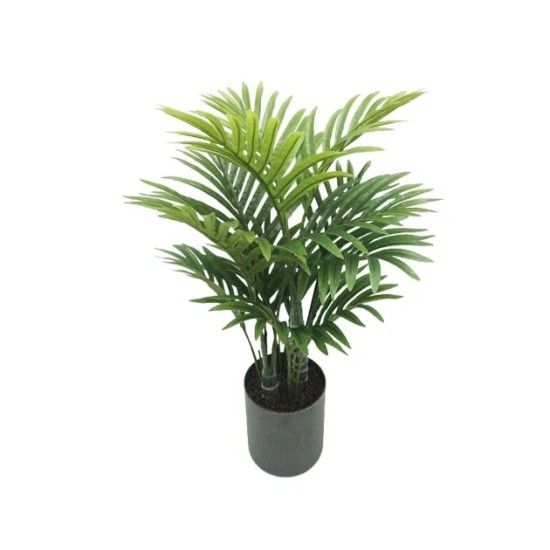 ΔΕΝΤΡΟ ΚΕΝΤΙΑ ΣΕ ΚΑΣΠΩ - Y55cm 1/12KIB ΔΕΝΤΡΟ ΚΕΝΤΙΑ ΣΕ ΚΑΣΠΩ - Y55cm 1/12KIB