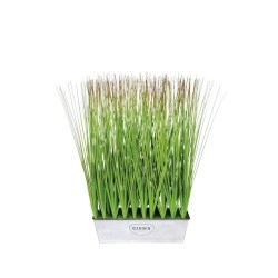ΦΥΤΑ ΓΚΡΑΣΣ ΣΕ ΜΕΤΑΛΛΙΚΗ ΖΑΡΝΤΙΝΙΕΡΑ - 30X10XY50cm 2/8KIB ΦΥΤΑ ΓΚΡΑΣΣ ΣΕ ΜΕΤΑΛΛΙΚΗ ΖΑΡΝΤΙΝΙΕΡΑ - 30X10XY50cm 2/8KIB