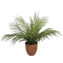 ΦΥΤΟ MINI ΚΕΝΤΙΑ ΠΡΑΣΙΝΟ REAL TOUCH ΣΕ ΚΑΣΠΩ - Y40cm 8/KIB ΦΥΤΟ MINI ΚΕΝΤΙΑ ΠΡΑΣΙΝΟ REAL TOUCH ΣΕ ΚΑΣΠΩ - Y40cm 8/KIB