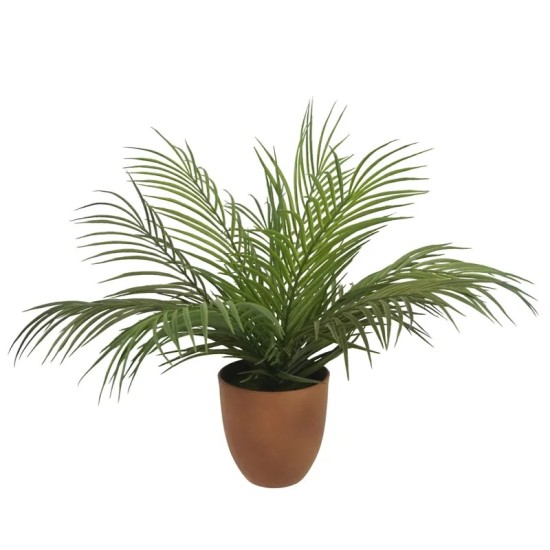 ΦΥΤΟ MINI ΚΕΝΤΙΑ ΠΡΑΣΙΝΟ REAL TOUCH ΣΕ ΚΑΣΠΩ - Y40cm 8/KIB ΦΥΤΟ MINI ΚΕΝΤΙΑ ΠΡΑΣΙΝΟ REAL TOUCH ΣΕ ΚΑΣΠΩ - Y40cm 8/KIB